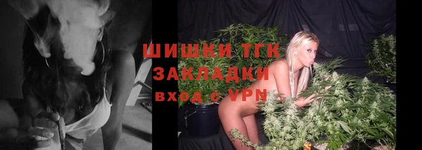 тгк Няндома