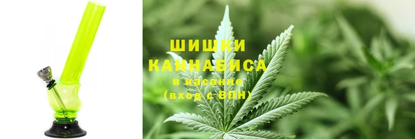 шишки Новозыбков