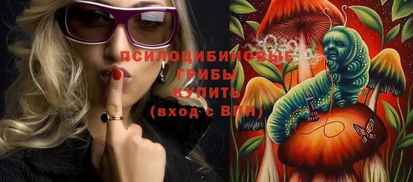 шишки Новозыбков