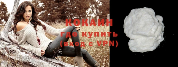 ешки Новодвинск