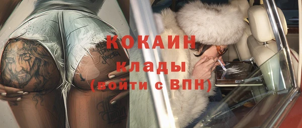 дмт Богородск