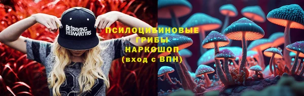 соль ск Нефтекумск