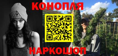 индика Бийск